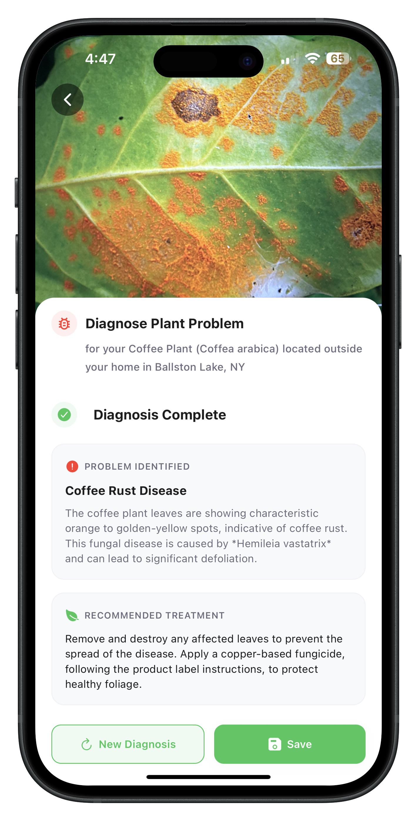Plant Issues Diagnosis Feature